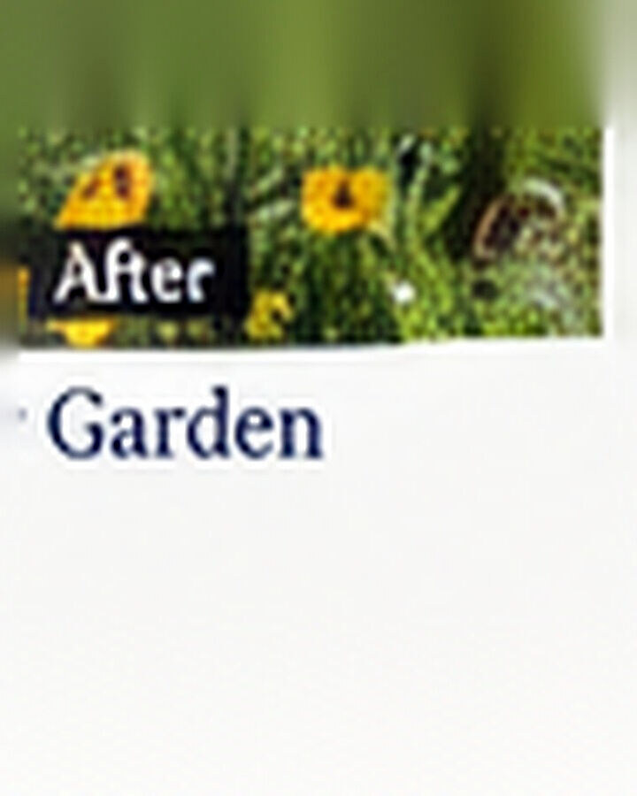 Pollinator Garden after its home and garden update