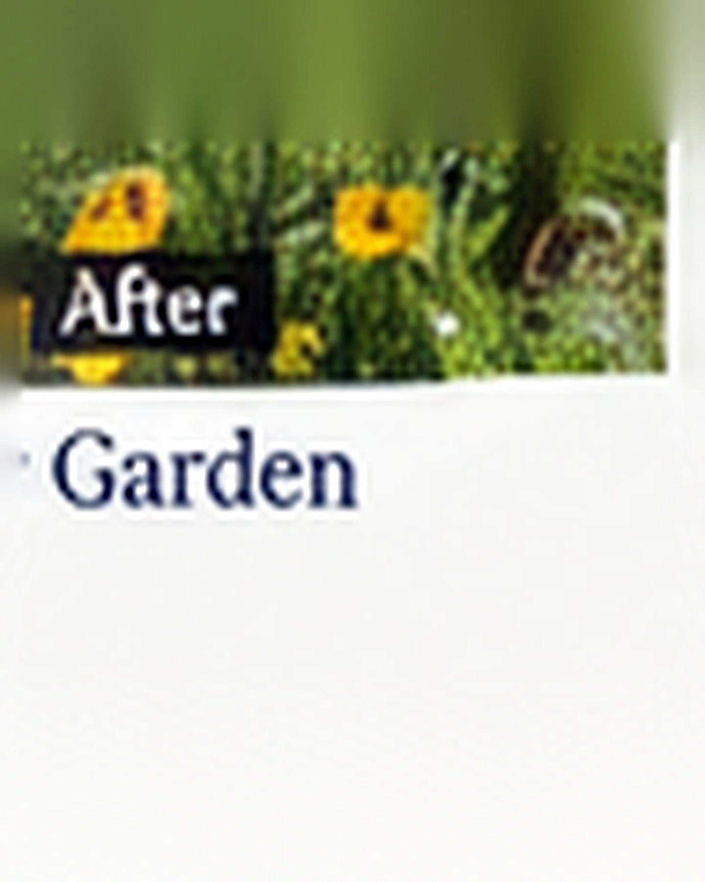 Pollinator Garden after its home and garden update