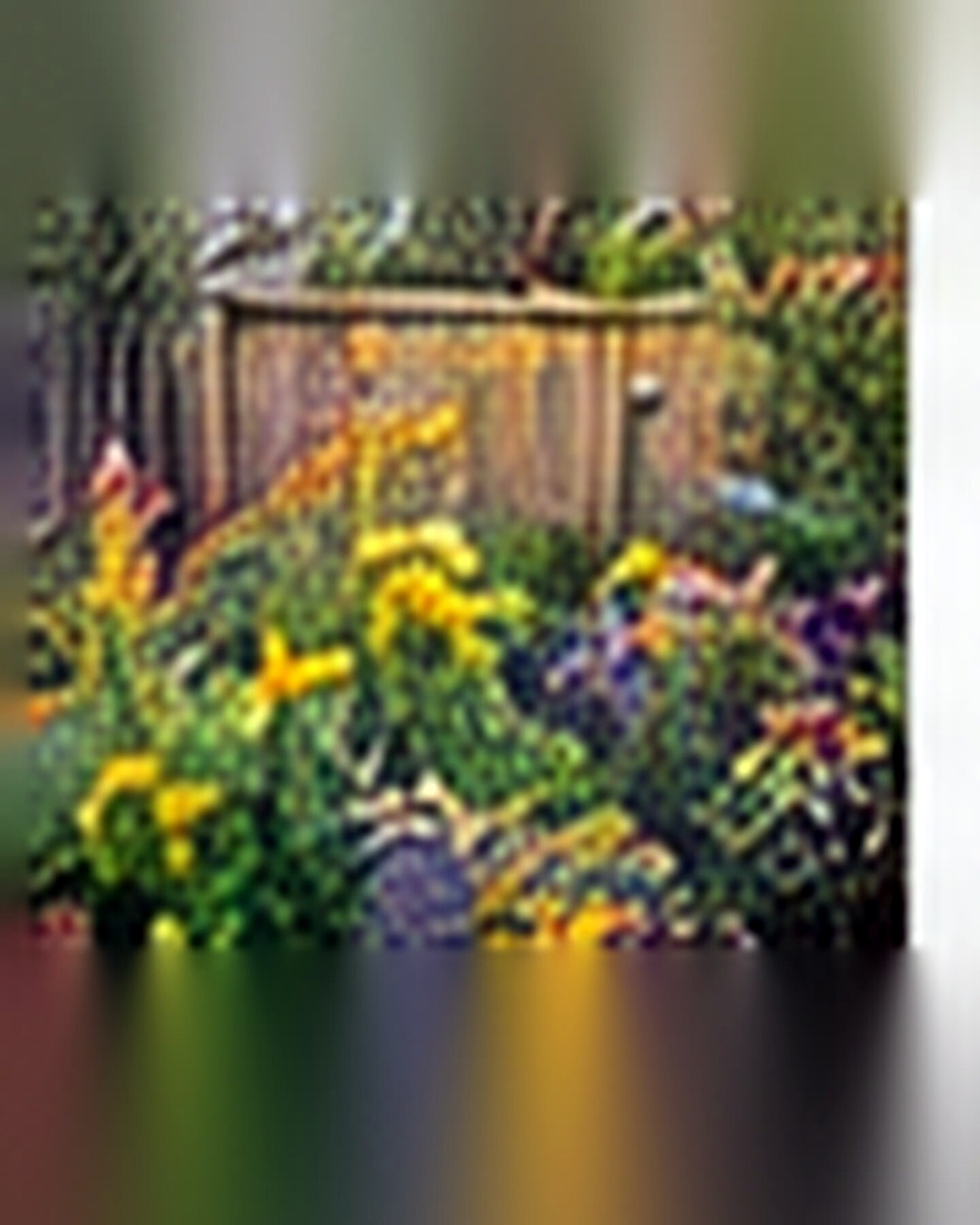 After transformation: Weedy Garden Bed to Pollinator Paradise: A Layered Before-and-After Plan